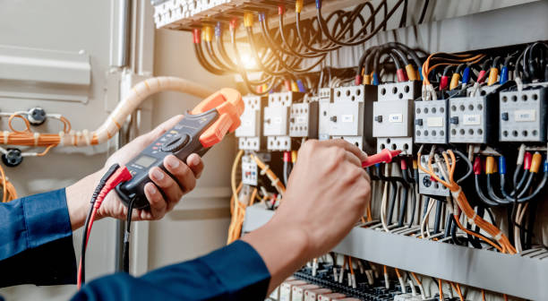 Best Licensed Electrician  in Stanton, MI