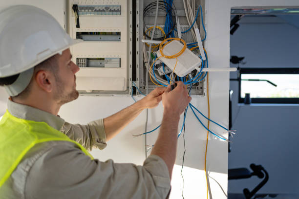 Best Circuit Breaker Repair  in Stanton, MI