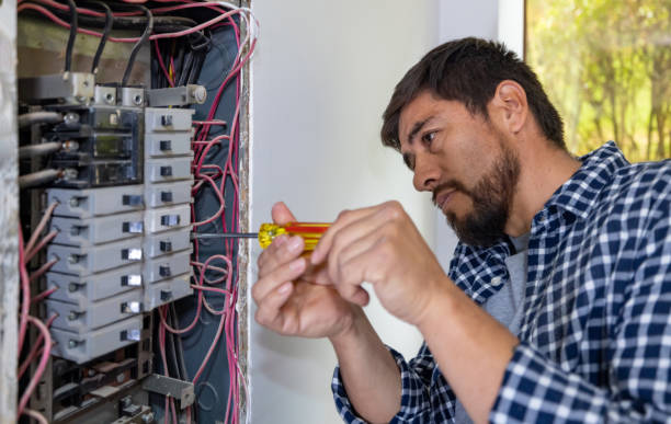 Best Electrical Wiring Services  in Stanton, MI